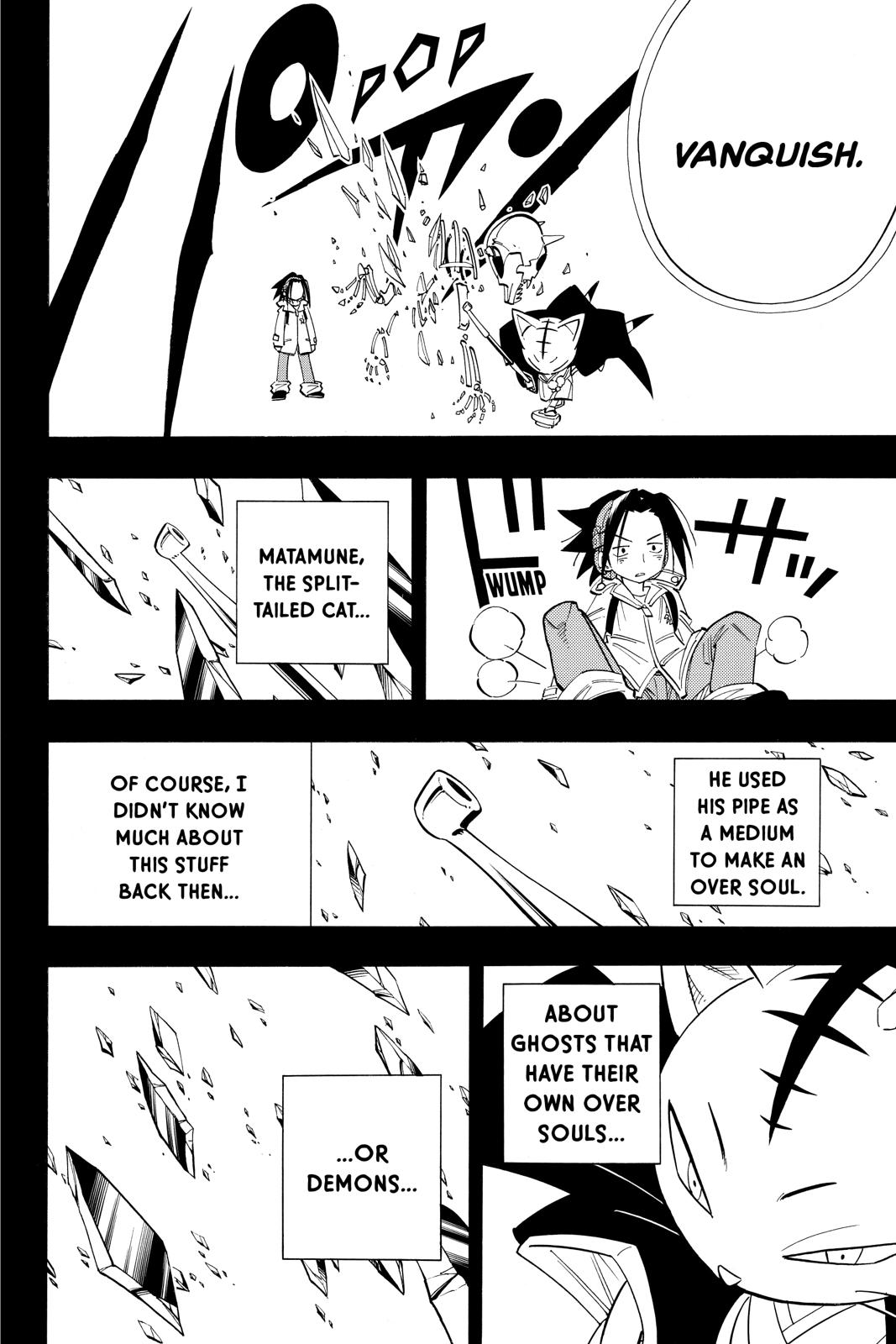 Shaman King chapter 165 page 17