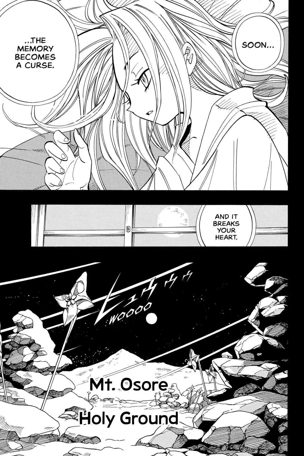 Shaman King chapter 166 page 17