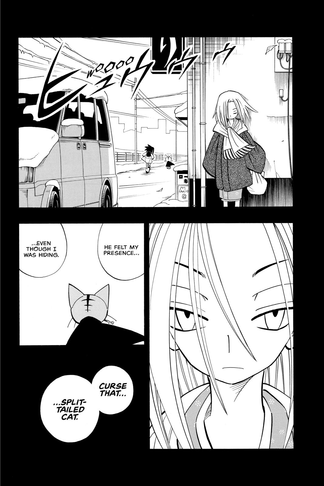 Shaman King chapter 166 page 4