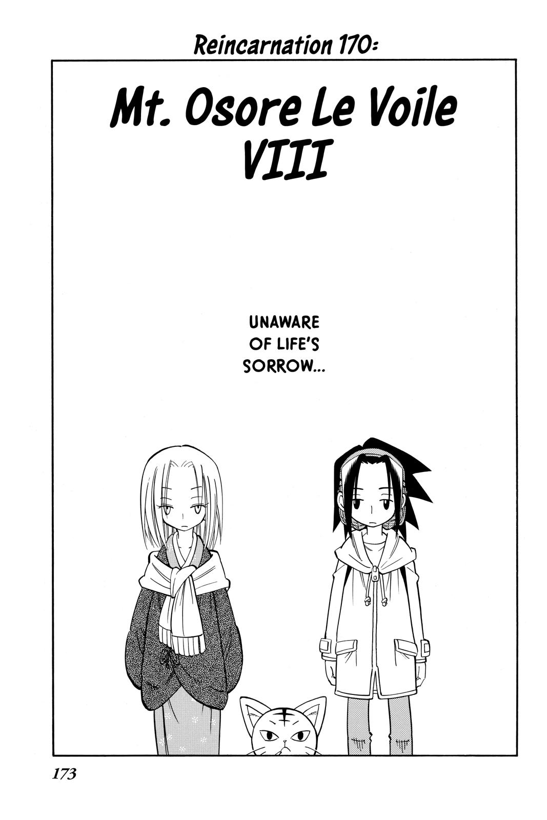 Shaman King chapter 170 page 3