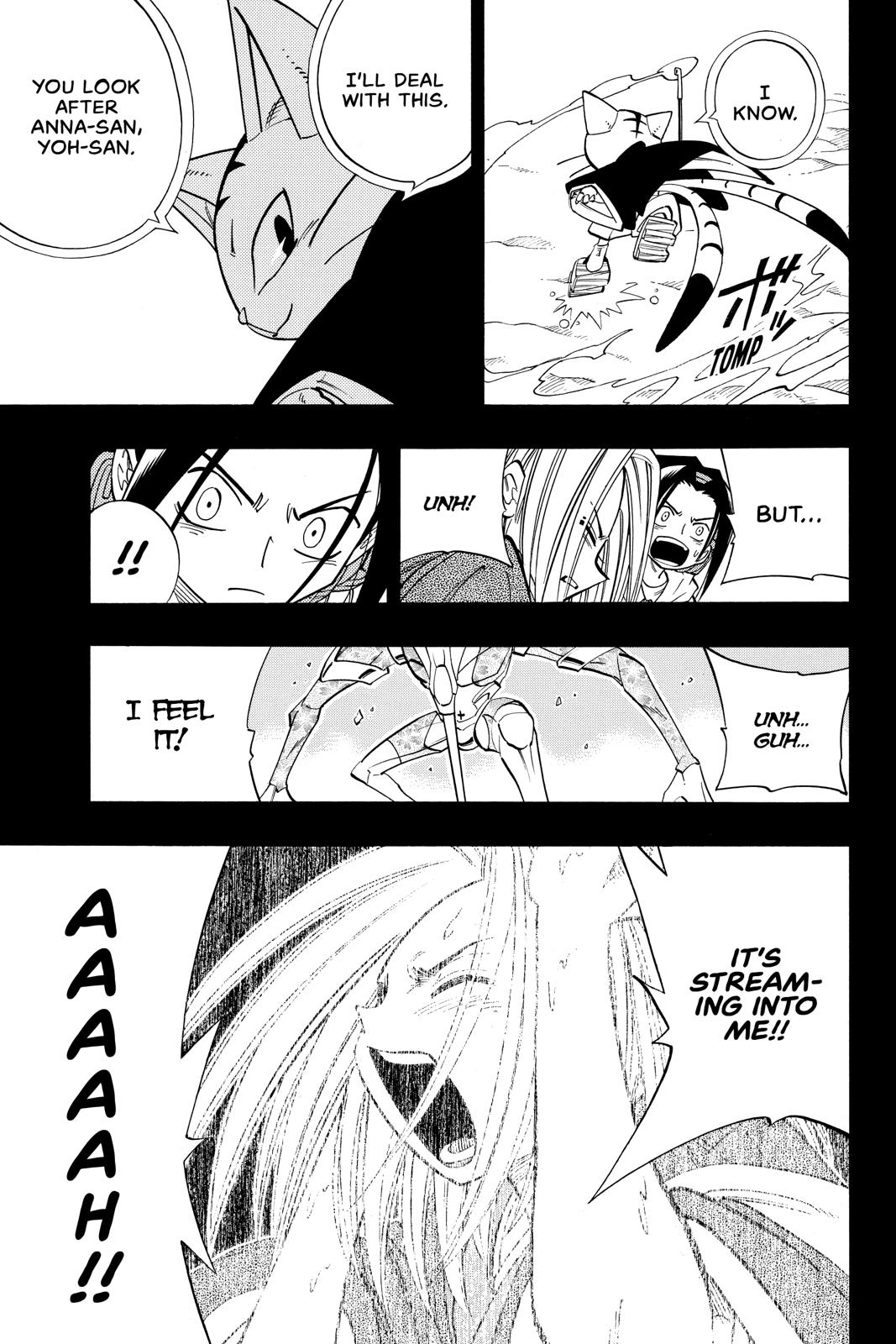 Shaman King chapter 171 page 17