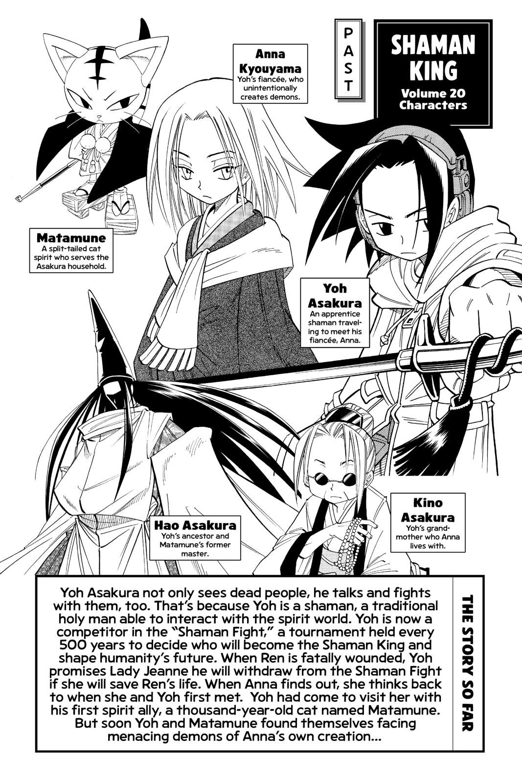 Shaman King chapter 171 page 3