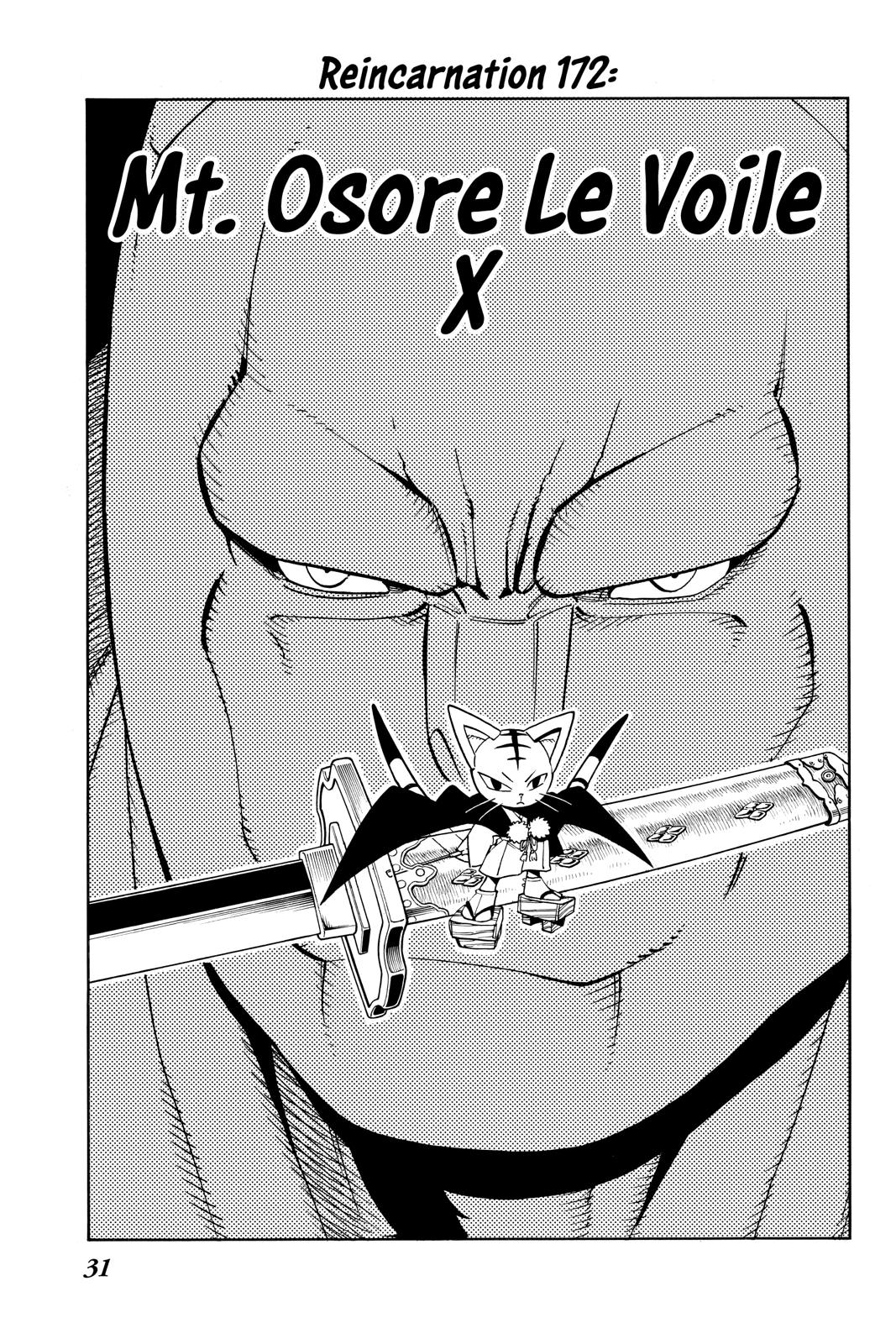 Shaman King chapter 172 page 5