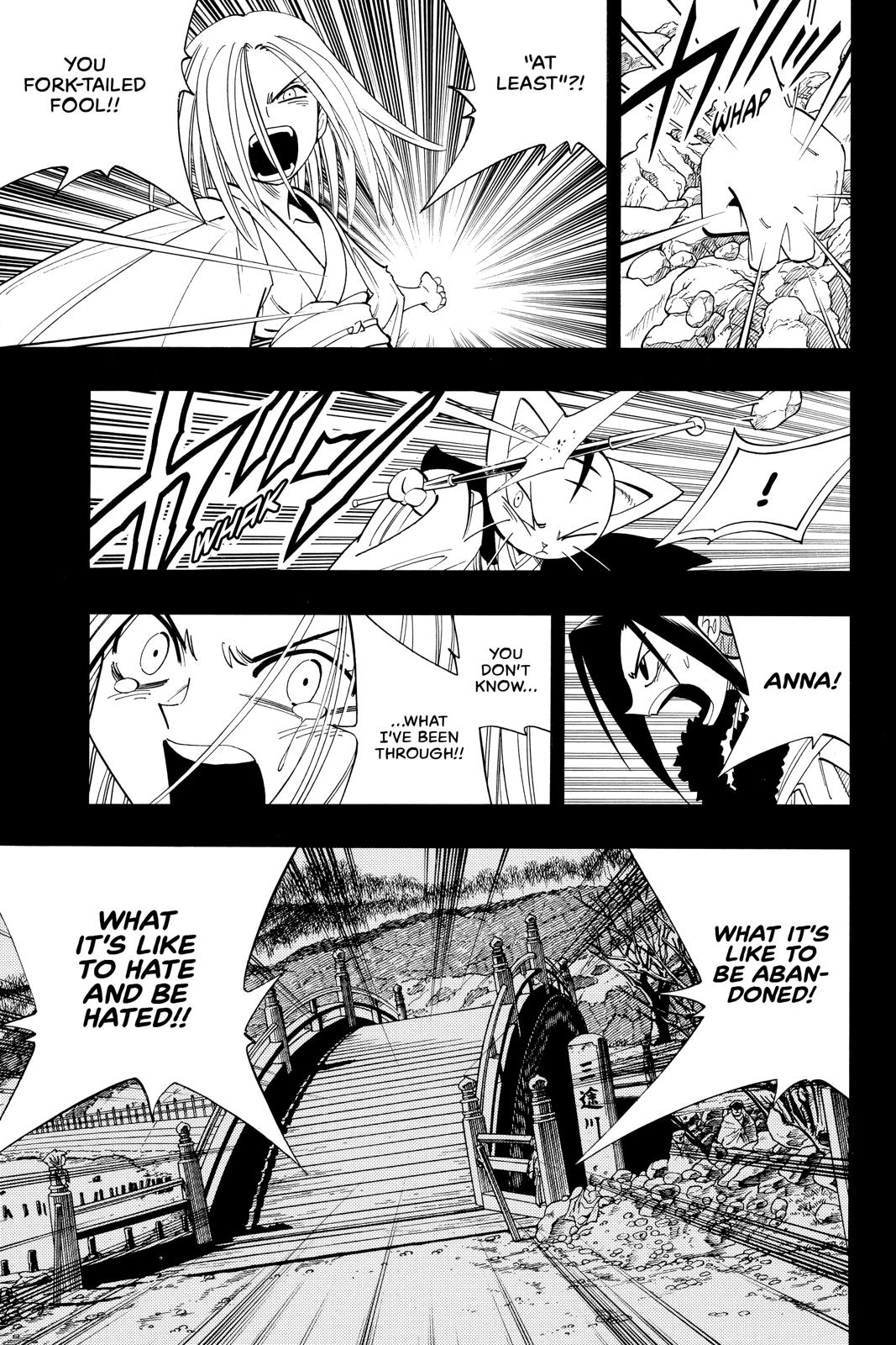 Shaman King chapter 174 page 13