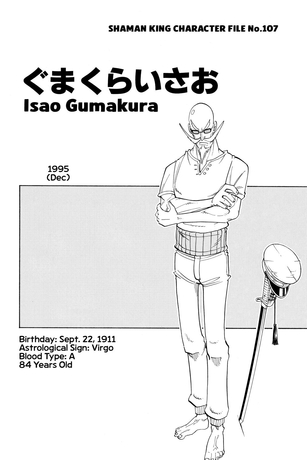 Shaman King chapter 174 page 18