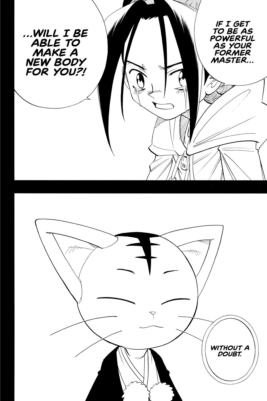 Shaman King chapter 175 page 13