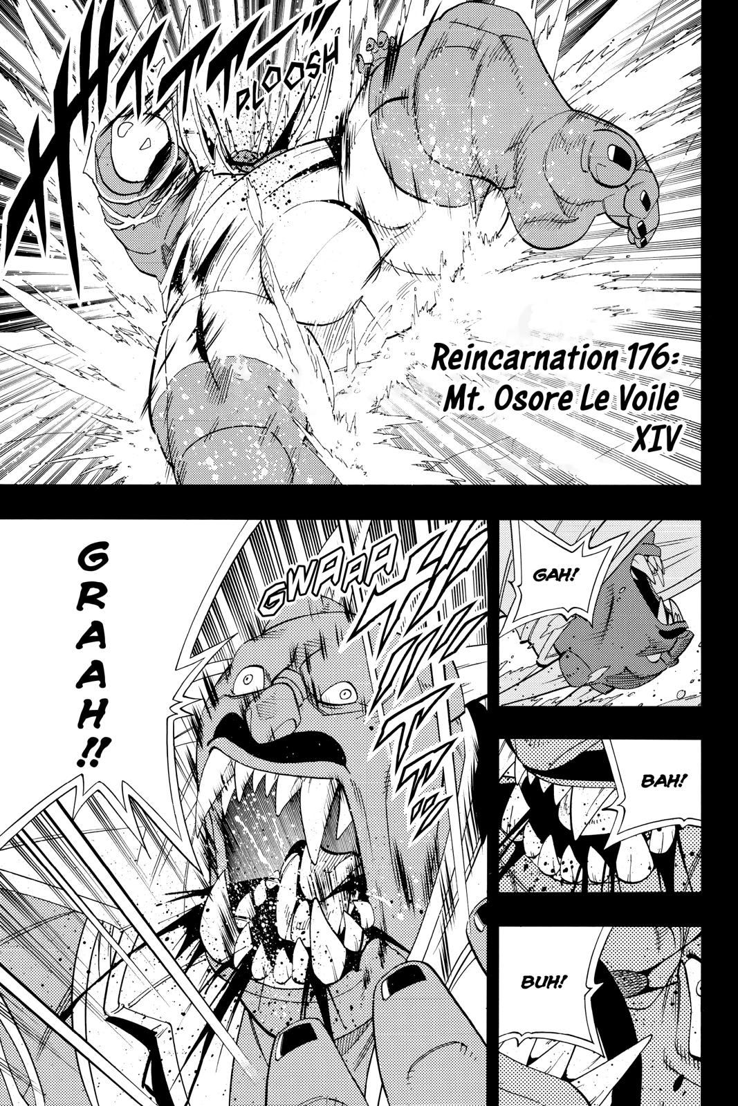 Shaman King chapter 176 page 1