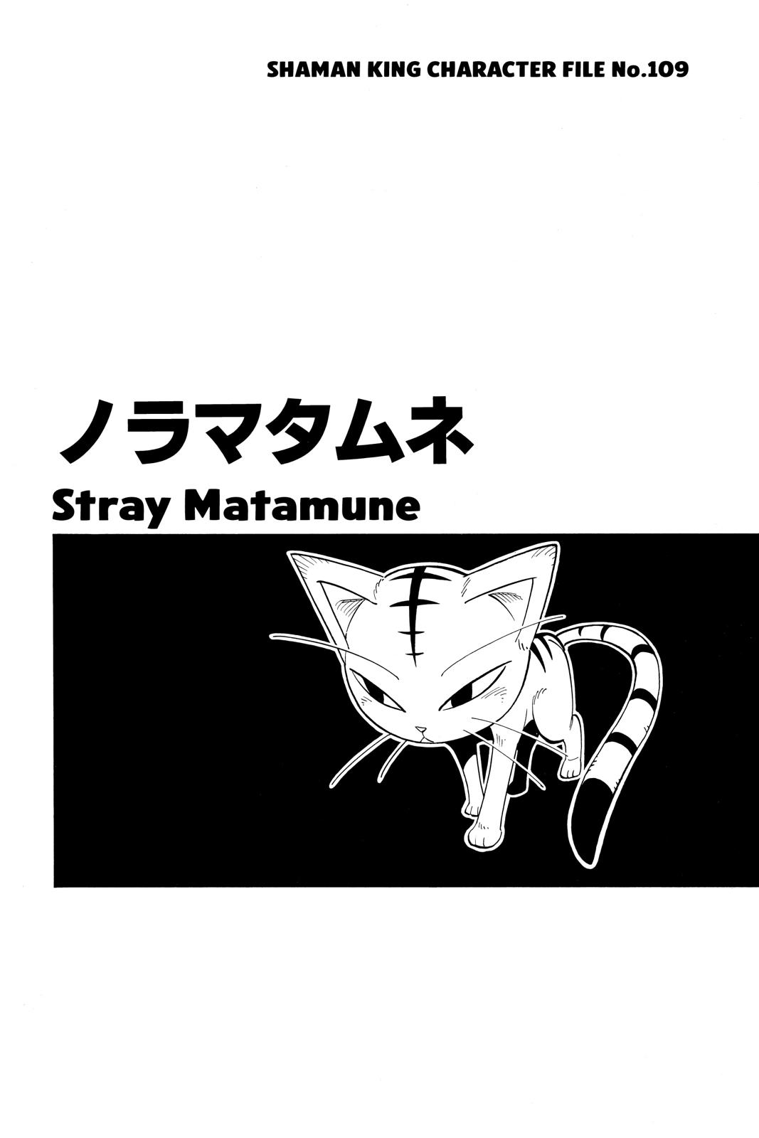 Shaman King chapter 176 page 19