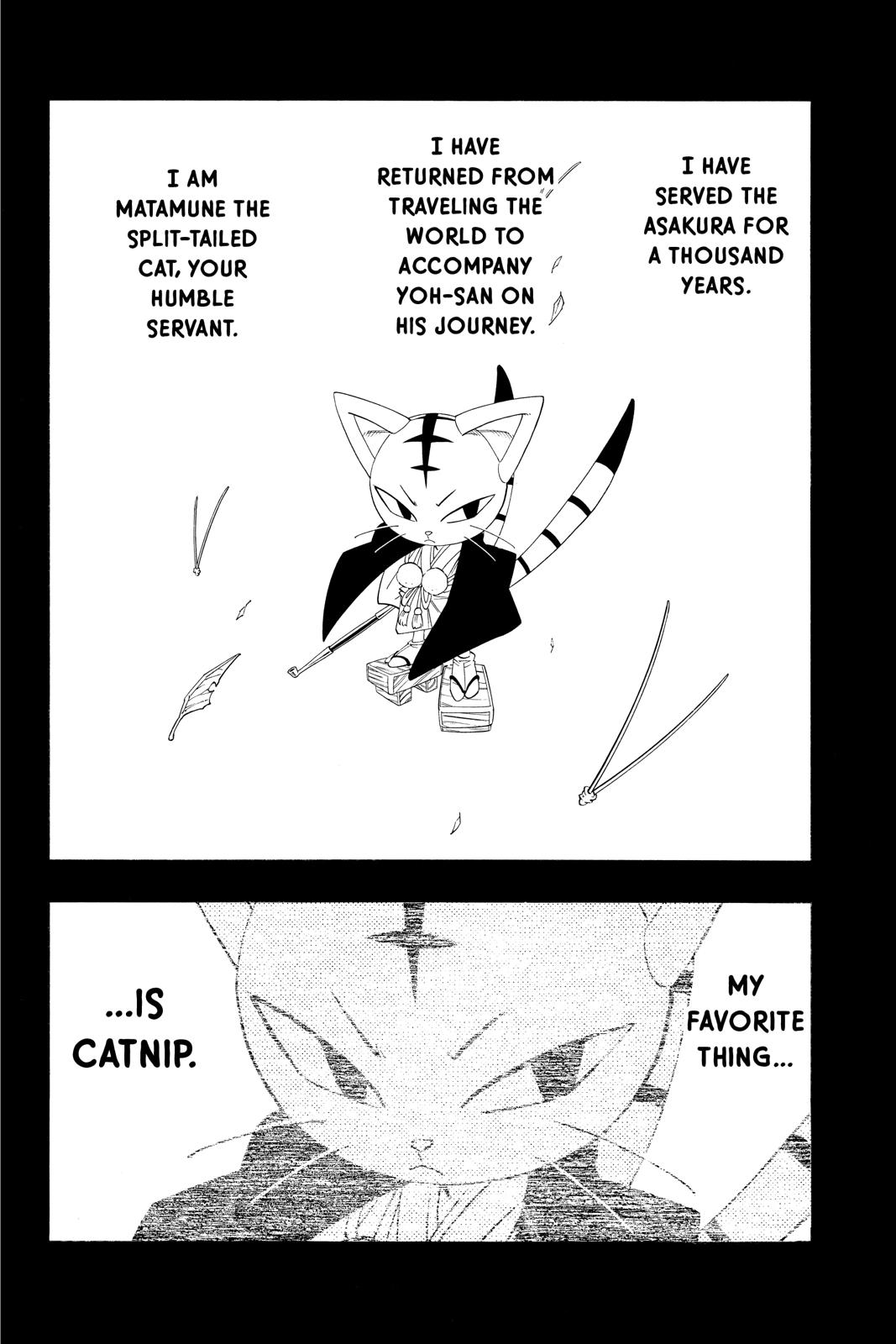 Shaman King chapter 177 page 17