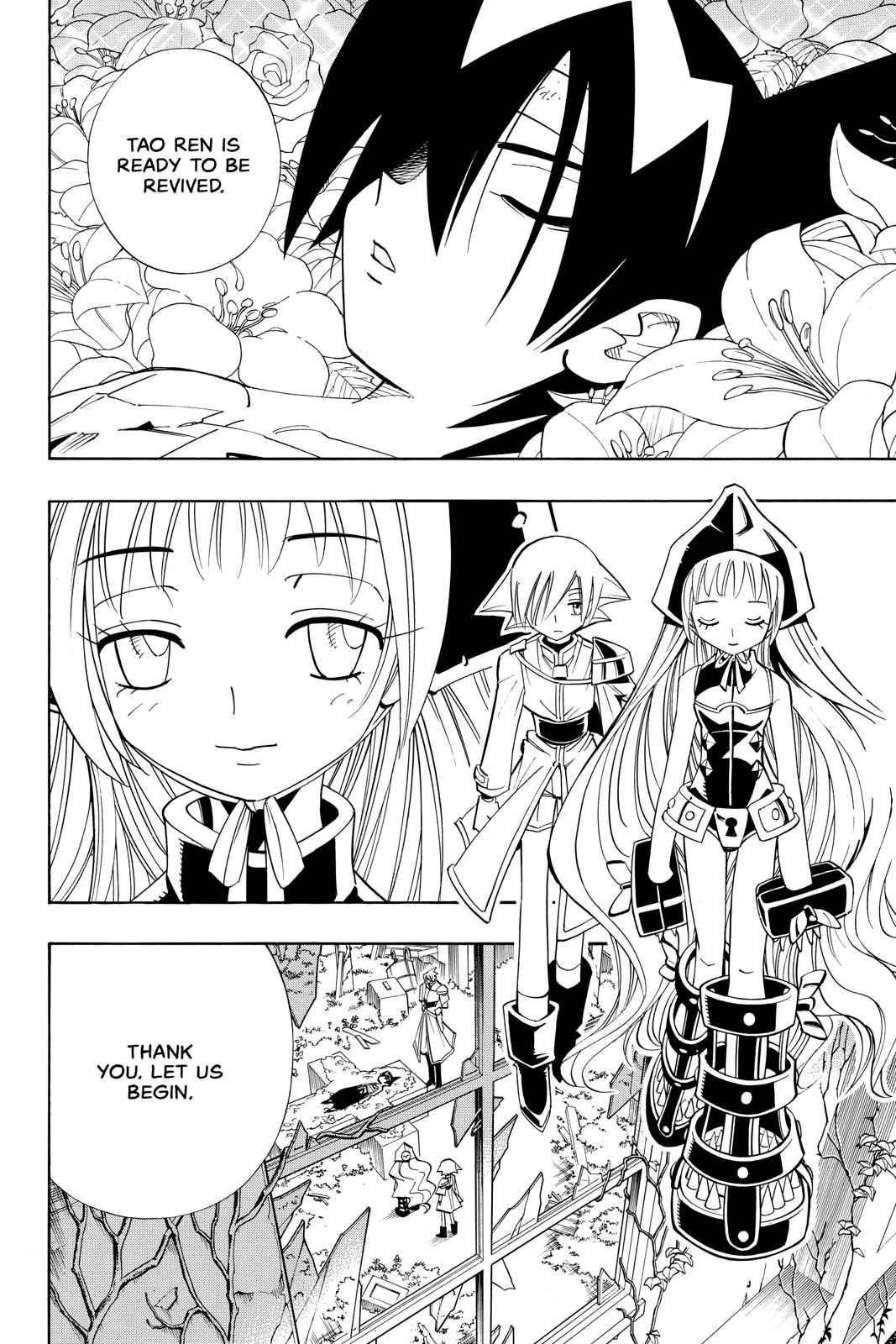 Shaman King chapter 178 page 12