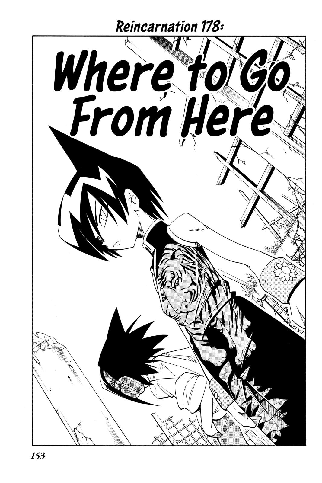 Shaman King chapter 178 page 3