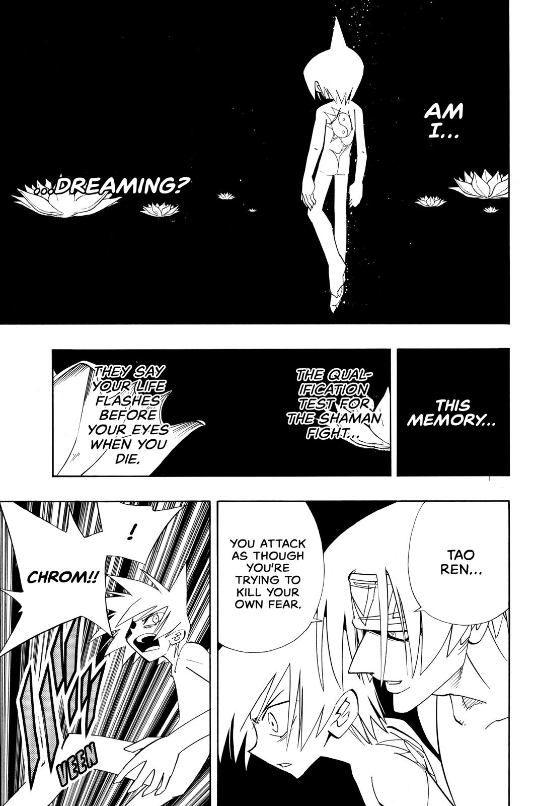 Shaman King chapter 179 page 13