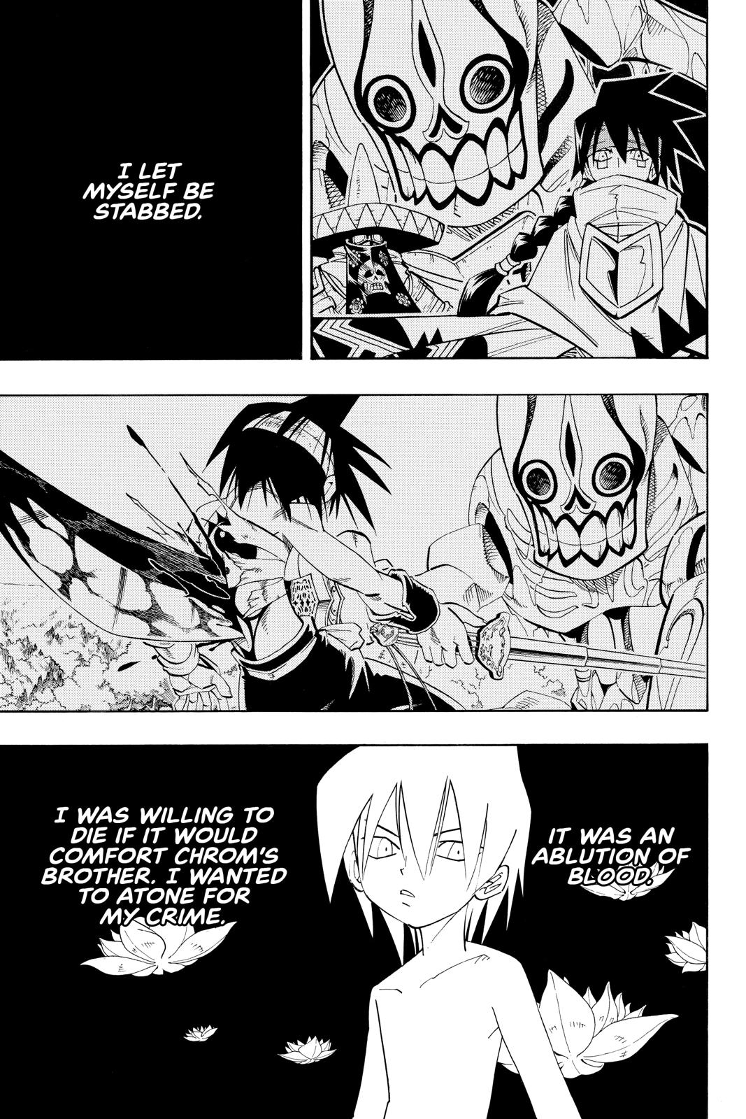 Shaman King chapter 179 page 17