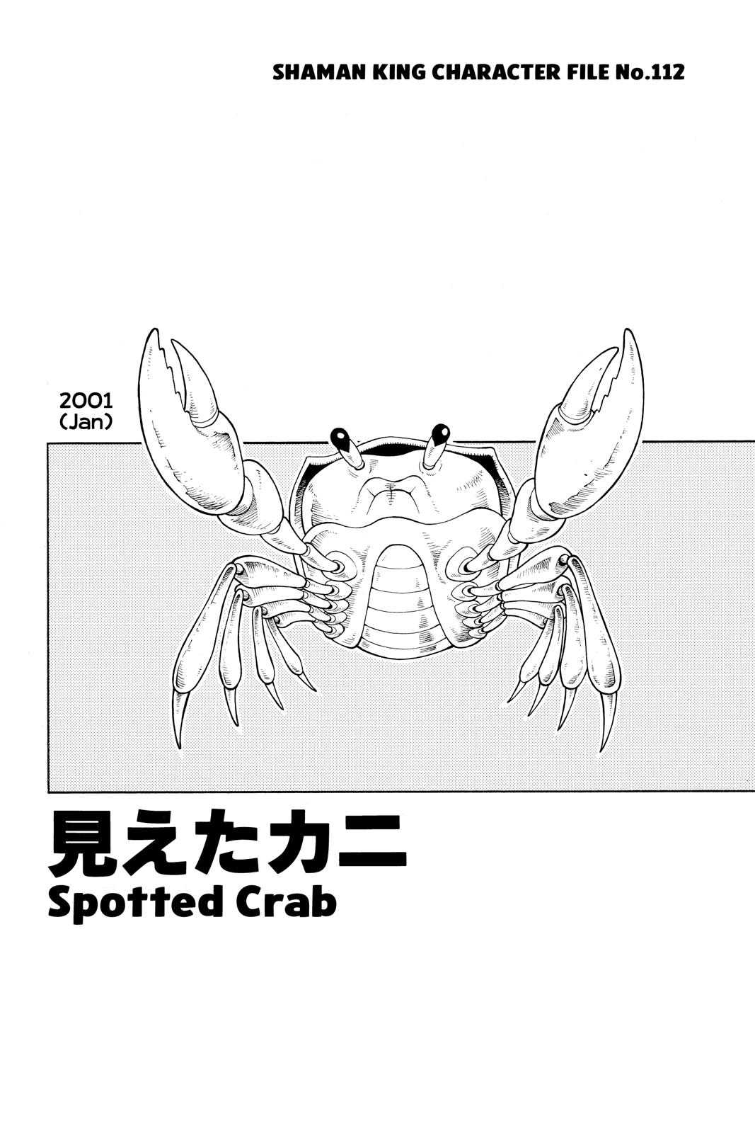 Shaman King chapter 182 page 18