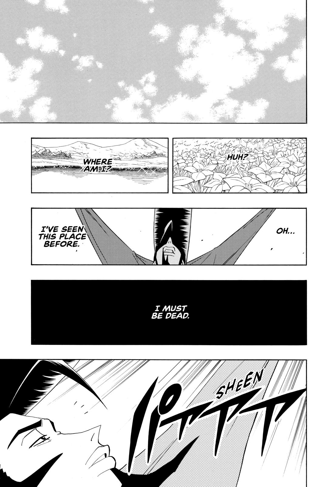 Shaman King chapter 189 page 19