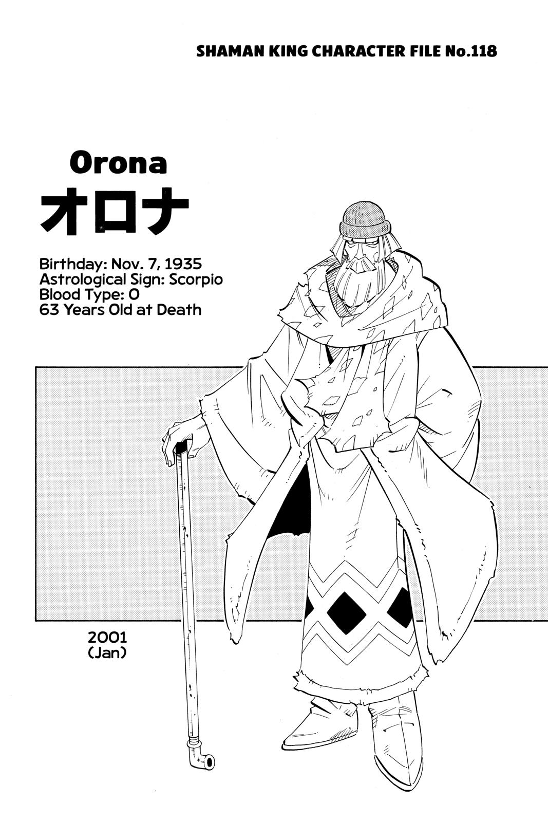 Shaman King chapter 190 page 19