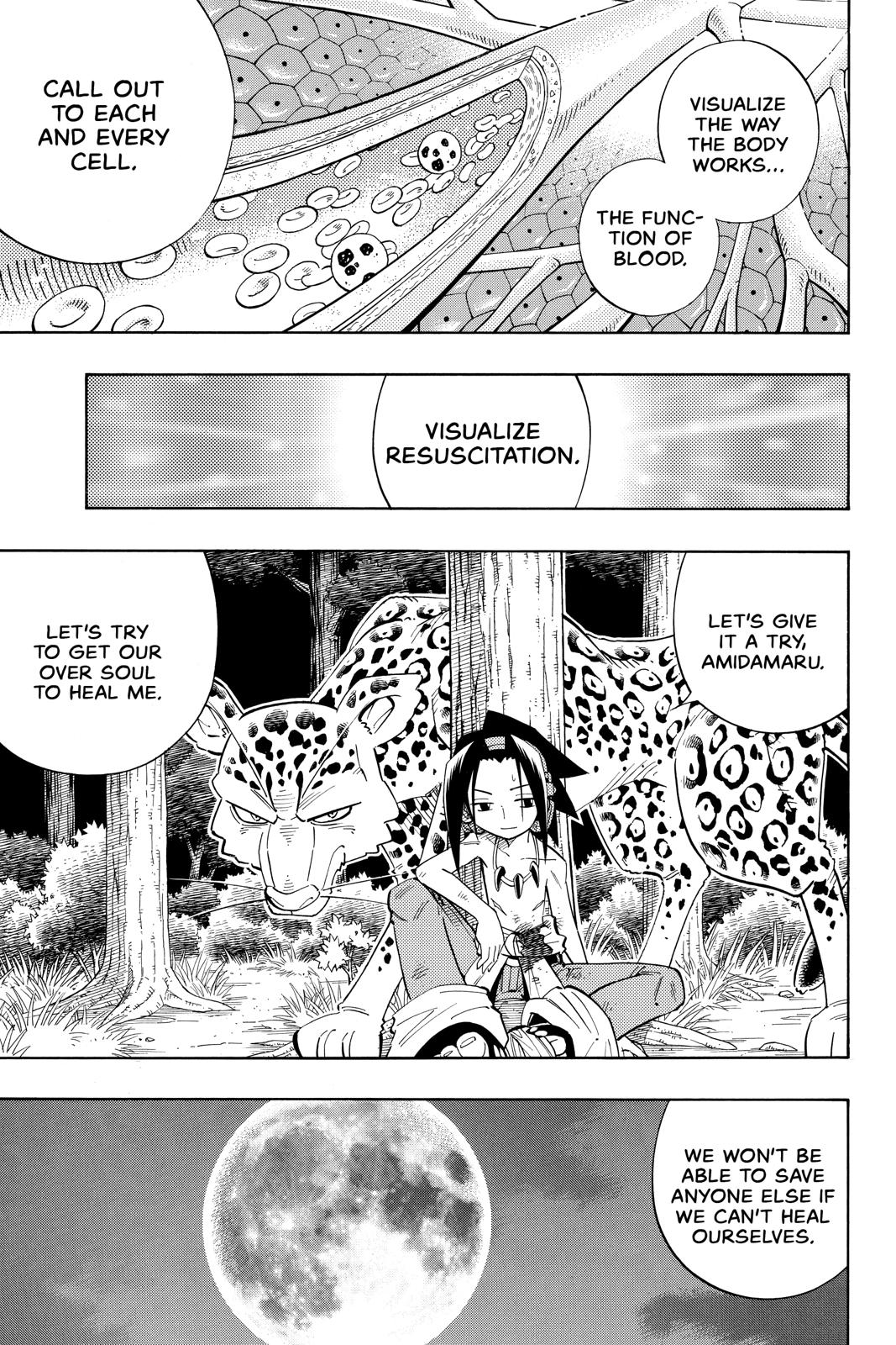 Shaman King chapter 195 page 14