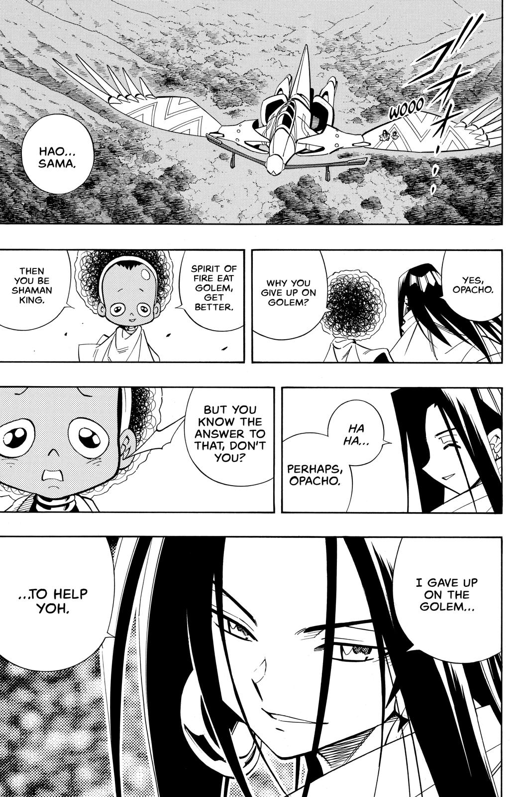 Shaman King chapter 202 page 13