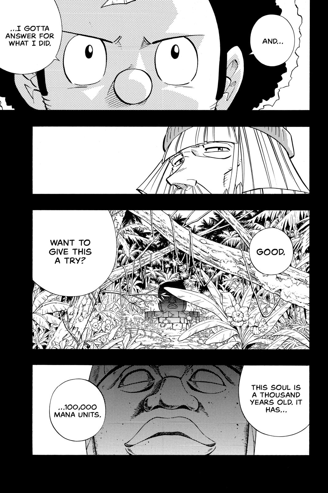 Shaman King chapter 204 page 17