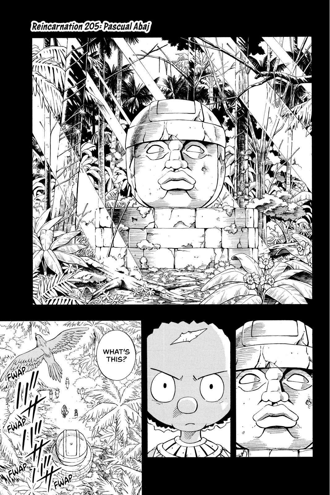 Shaman King chapter 205 page 1