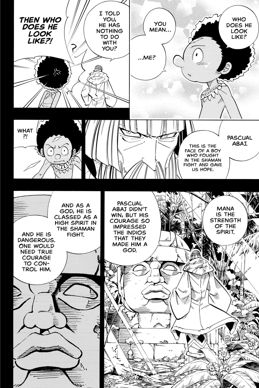 Shaman King chapter 205 page 8
