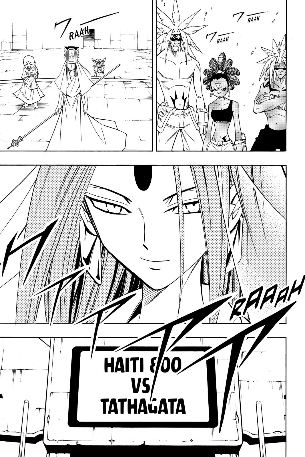 Shaman King chapter 208 page 13