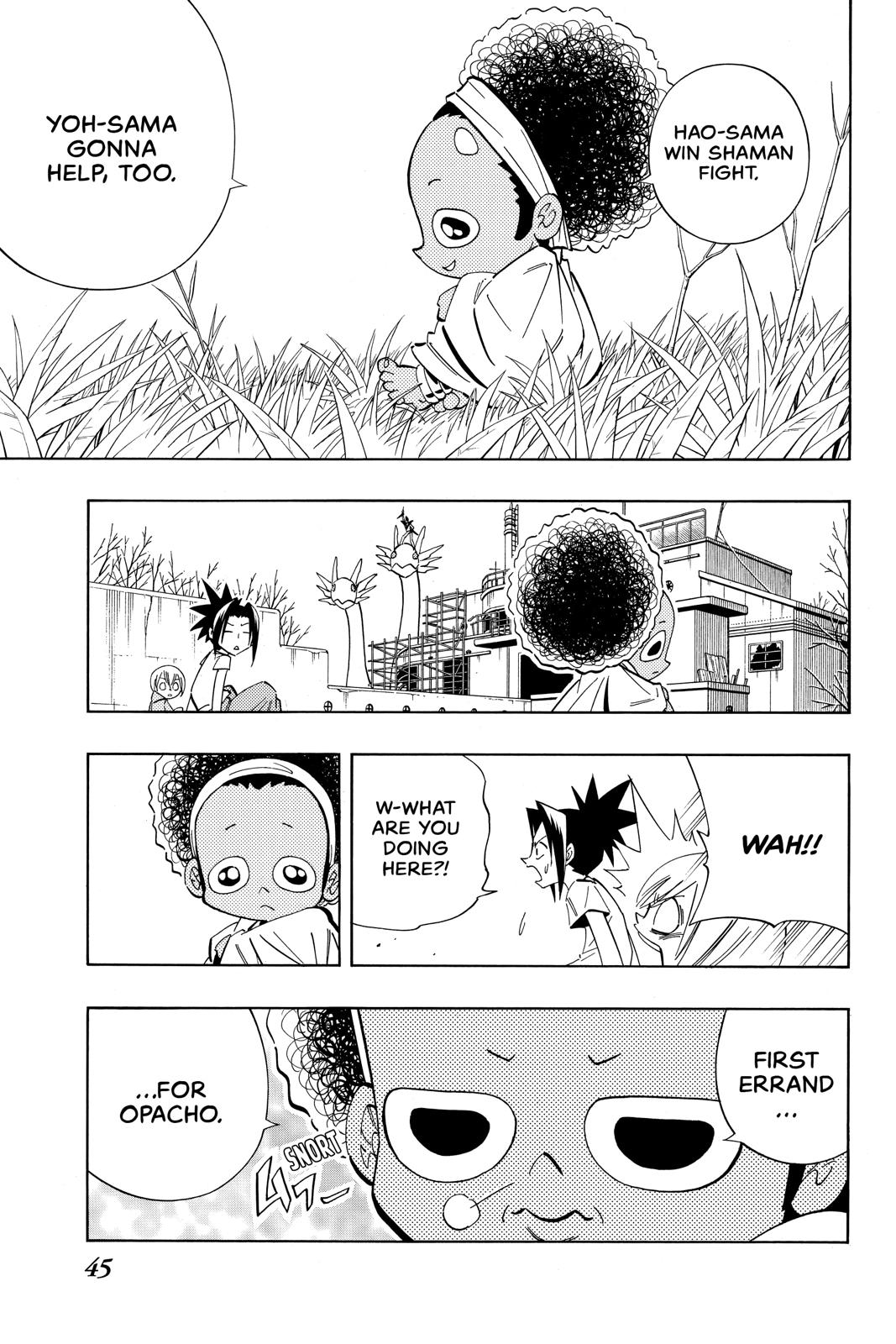 Shaman King chapter 208 page 17