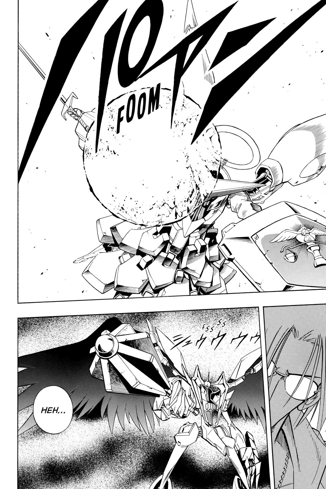 Shaman King chapter 215 page 13