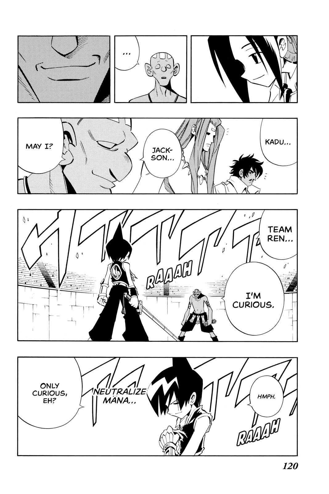 Shaman King chapter 221 page 17