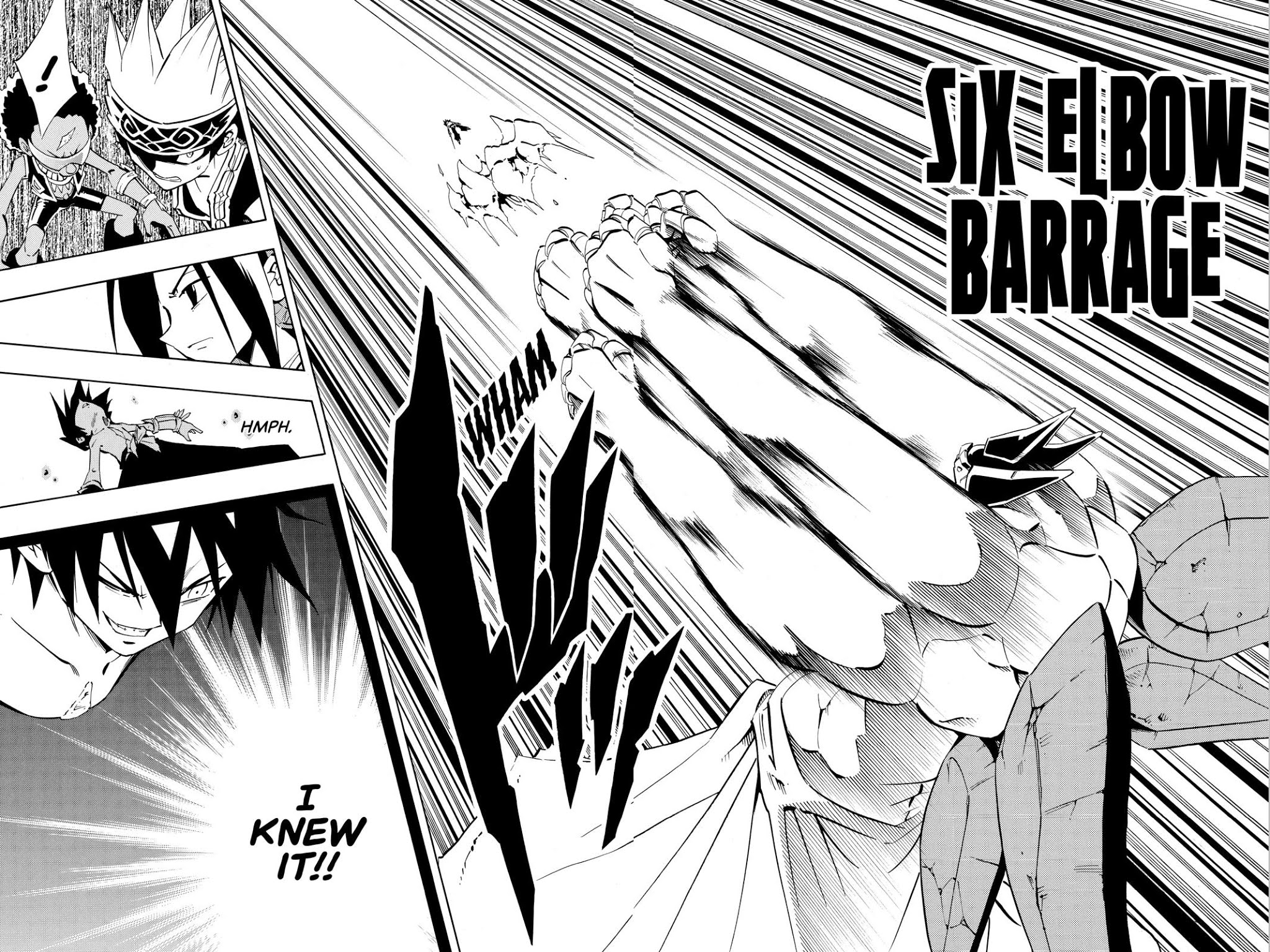 Shaman King chapter 222 page 18