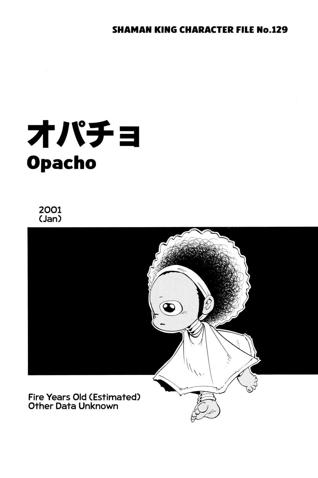 Shaman King chapter 224 page 22
