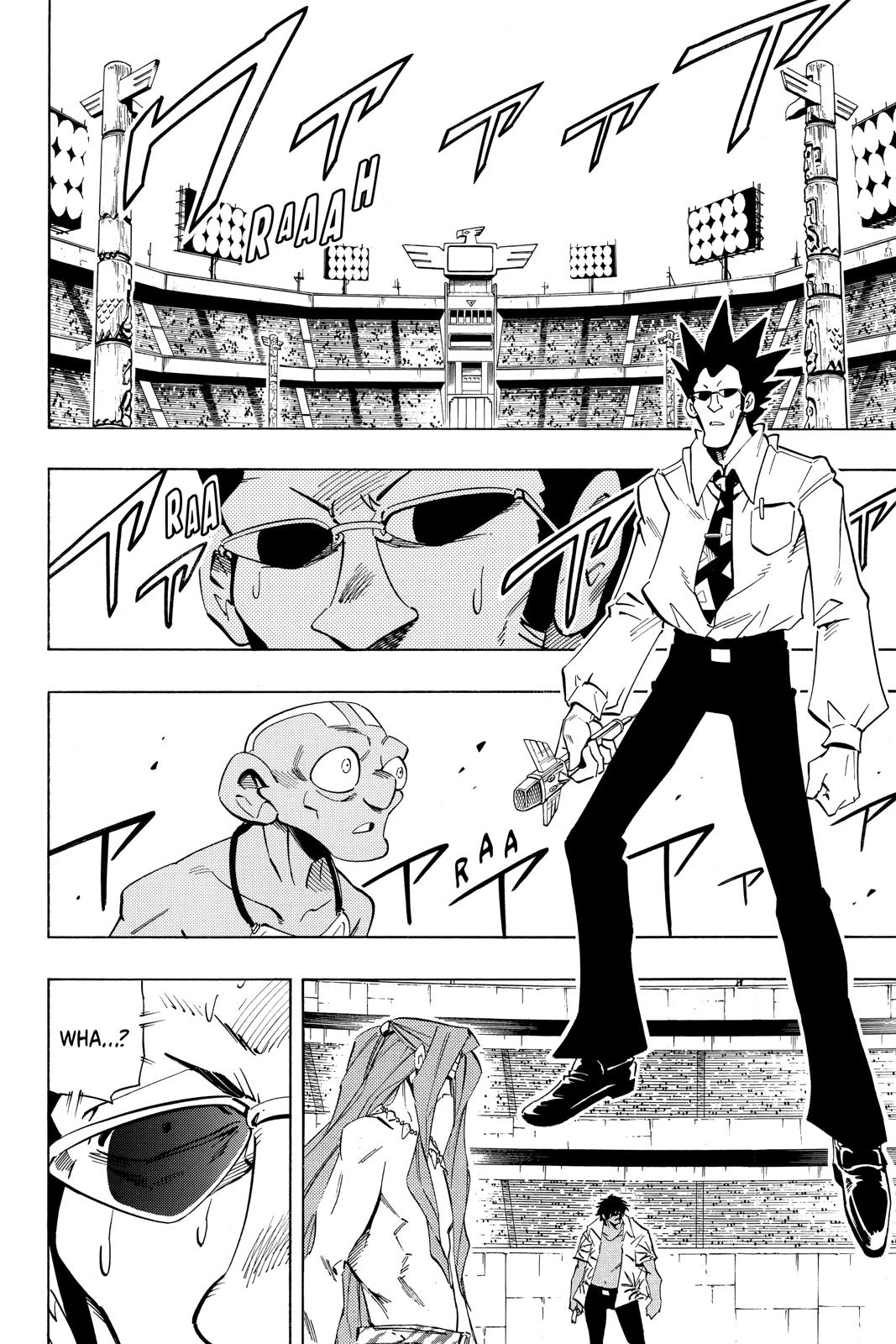 Shaman King chapter 228 page 13