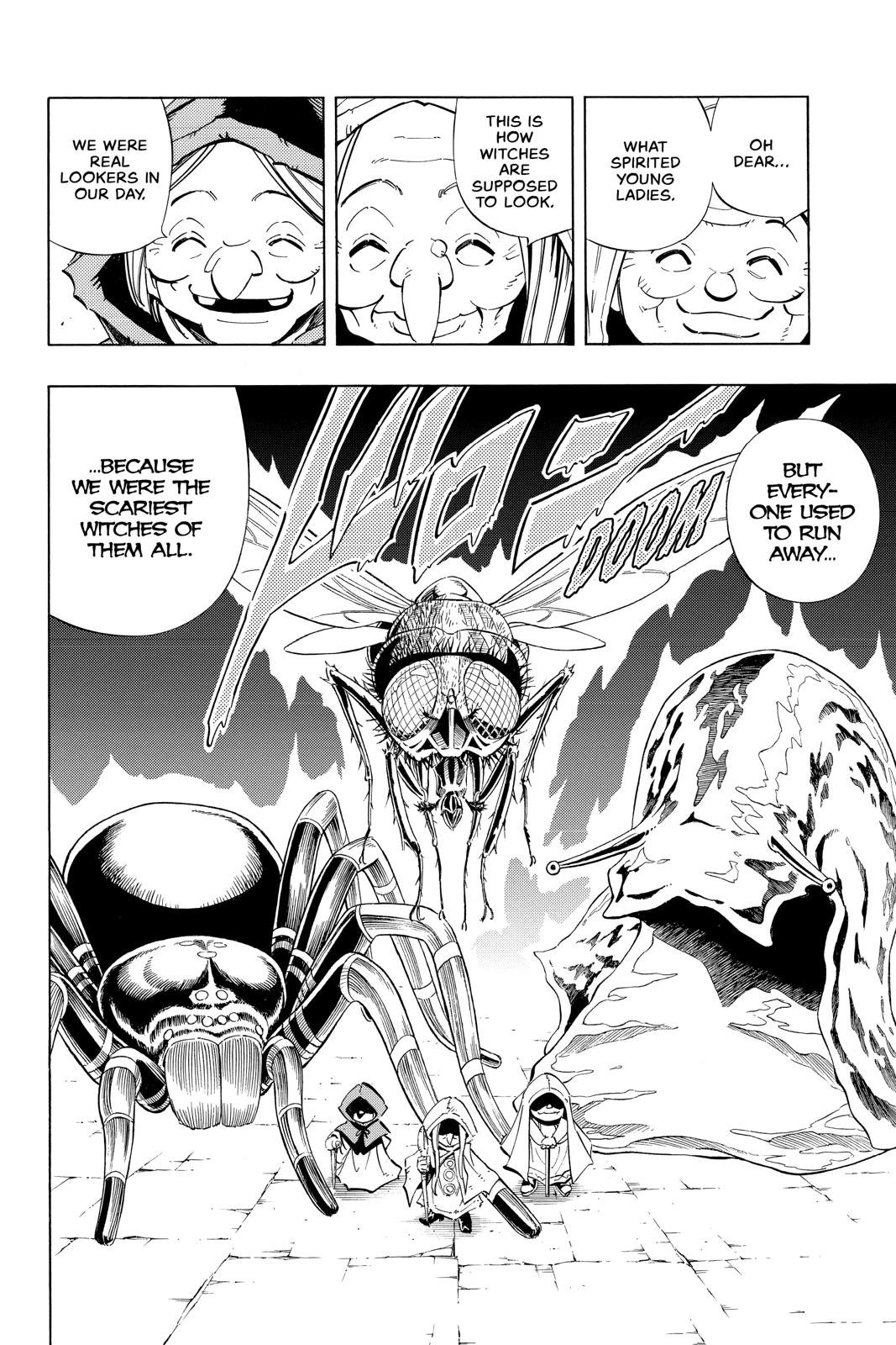 Shaman King chapter 229 page 13