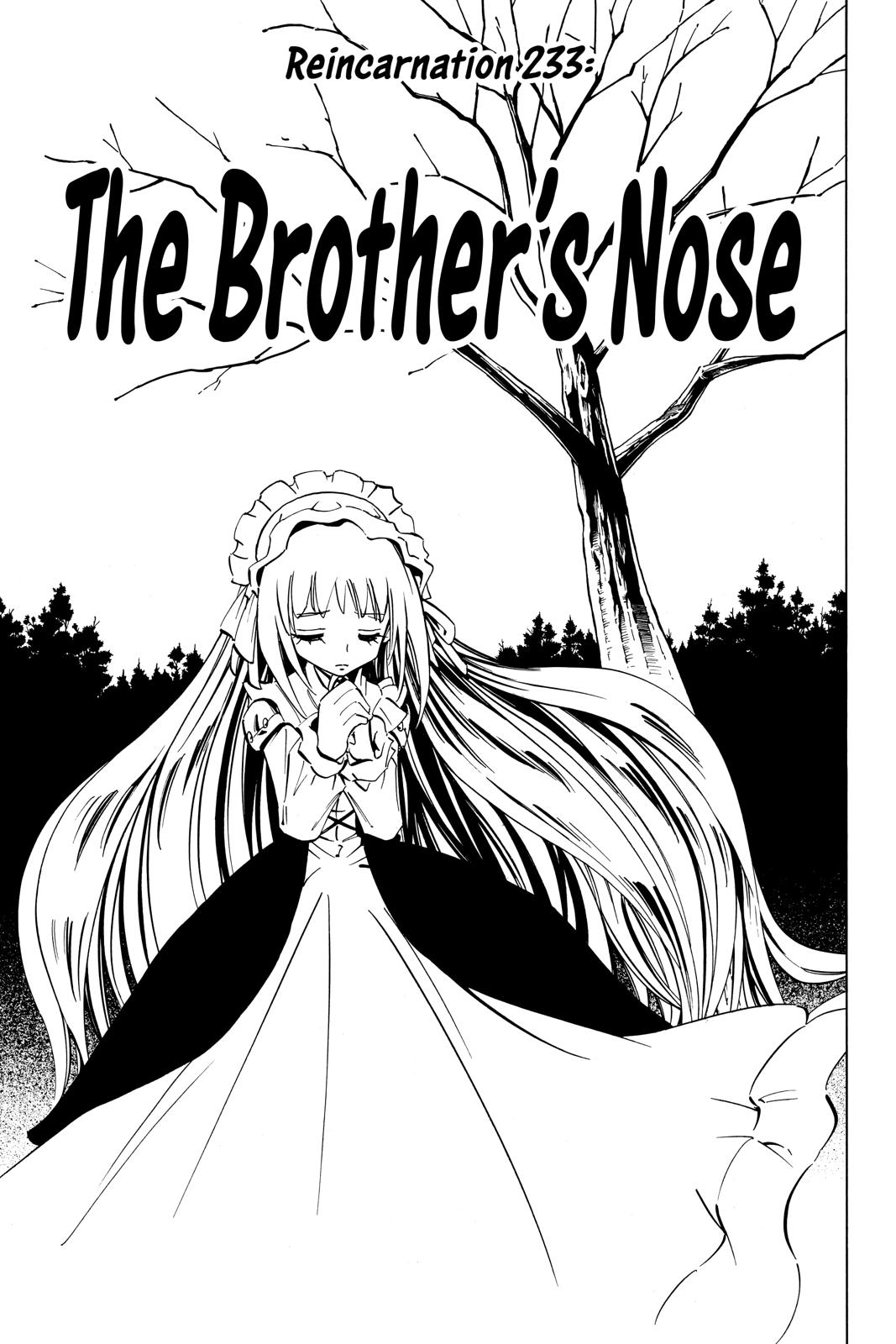 Shaman King chapter 233 page 3