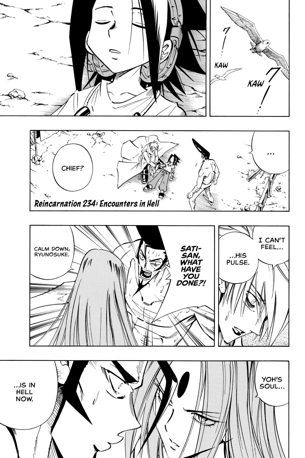 Shaman King chapter 234 page 8