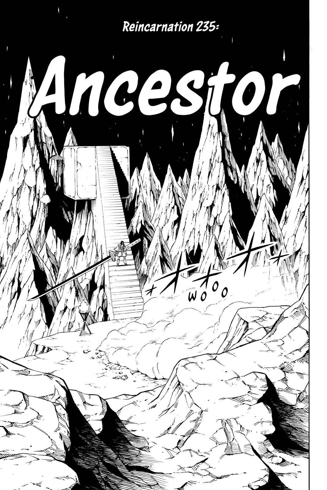 Shaman King chapter 235 page 3