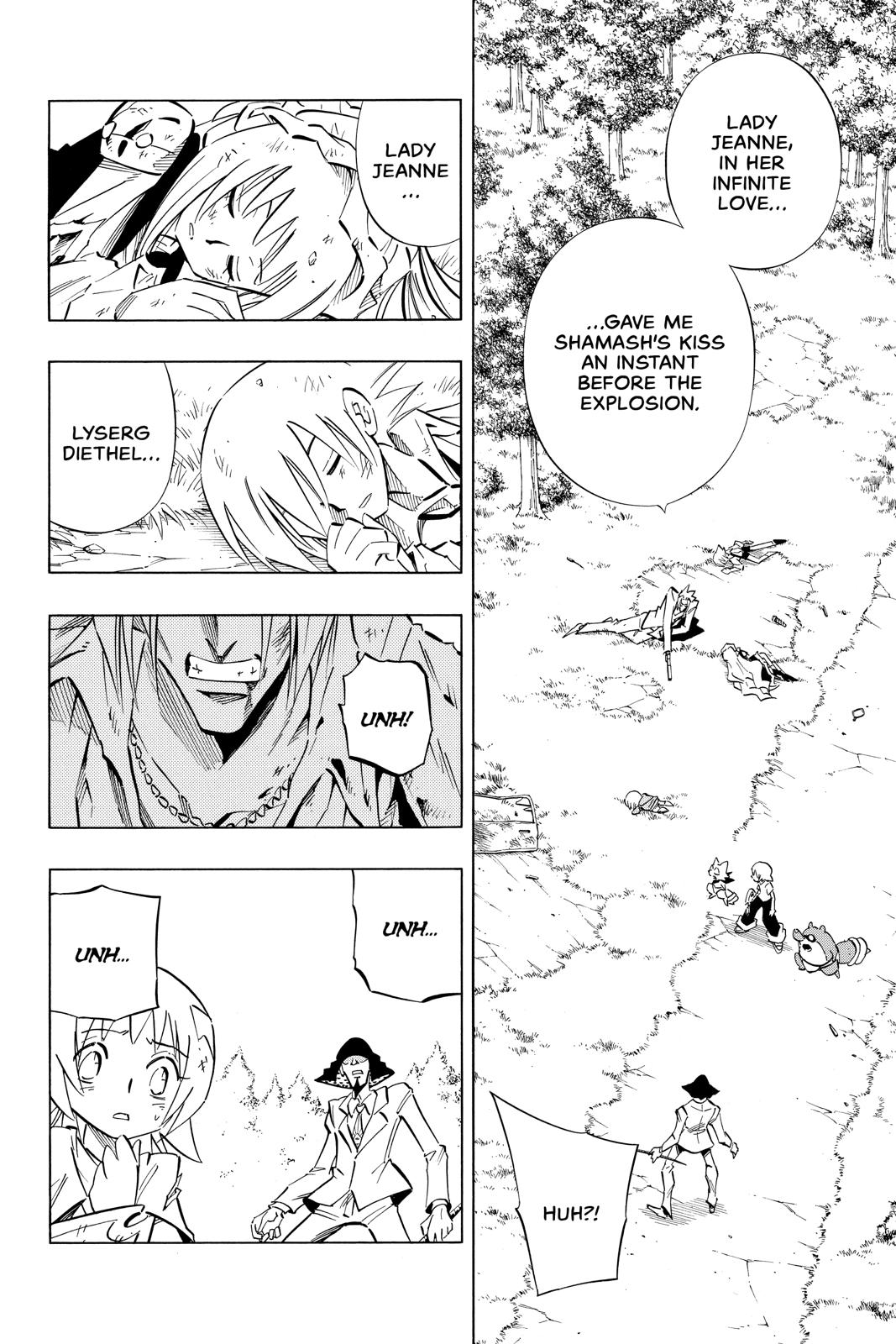 Shaman King chapter 242 page 3