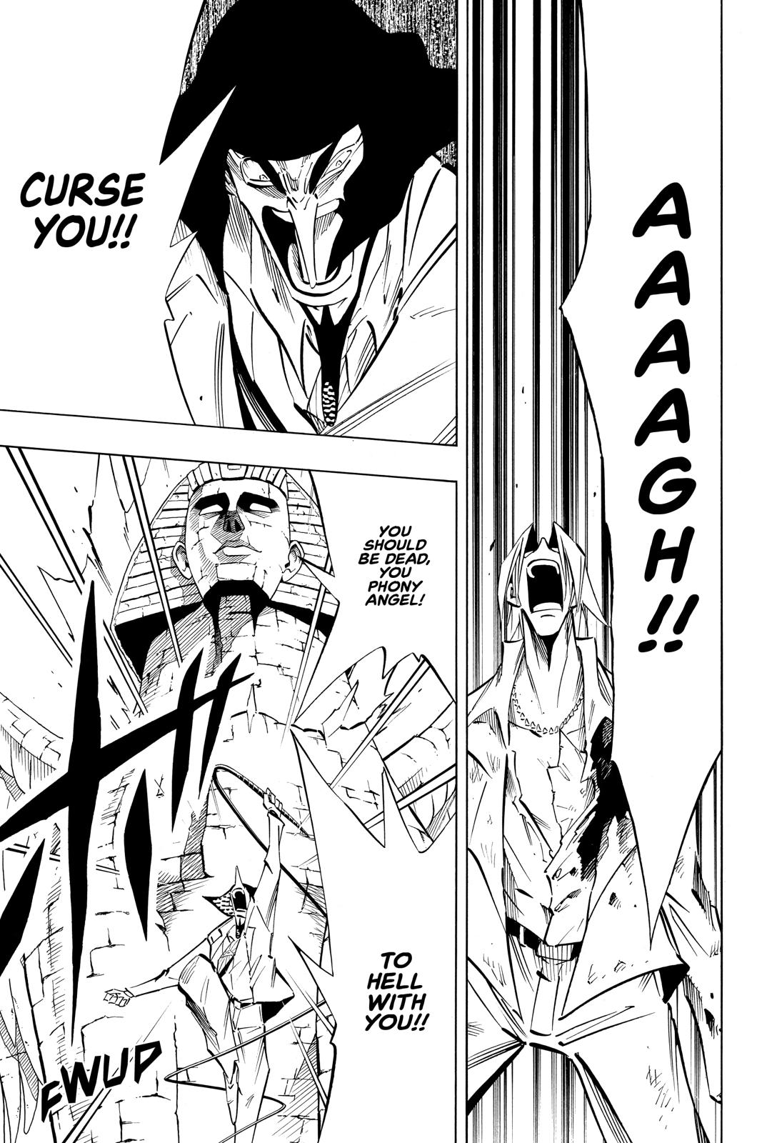 Shaman King chapter 242 page 4