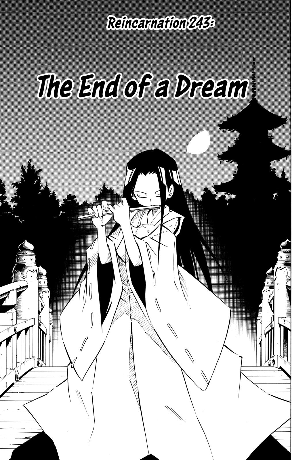 Shaman King chapter 243 page 3