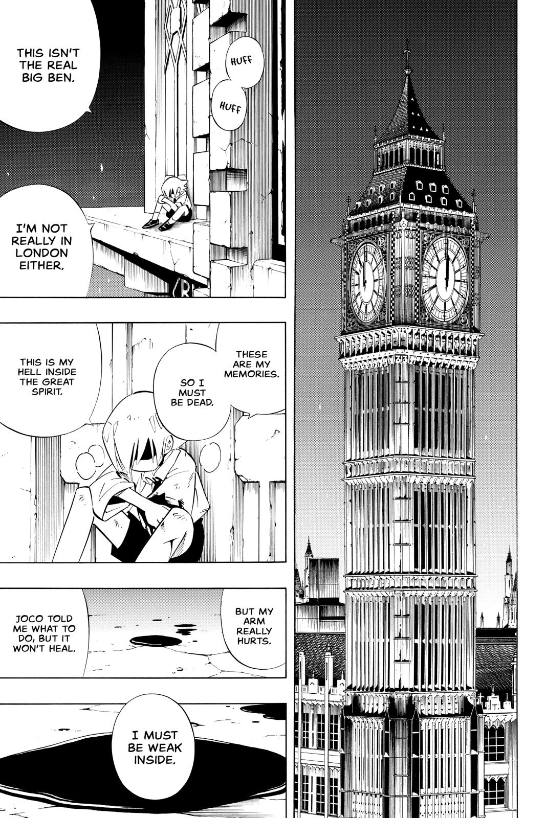 Shaman King chapter 247 page 14