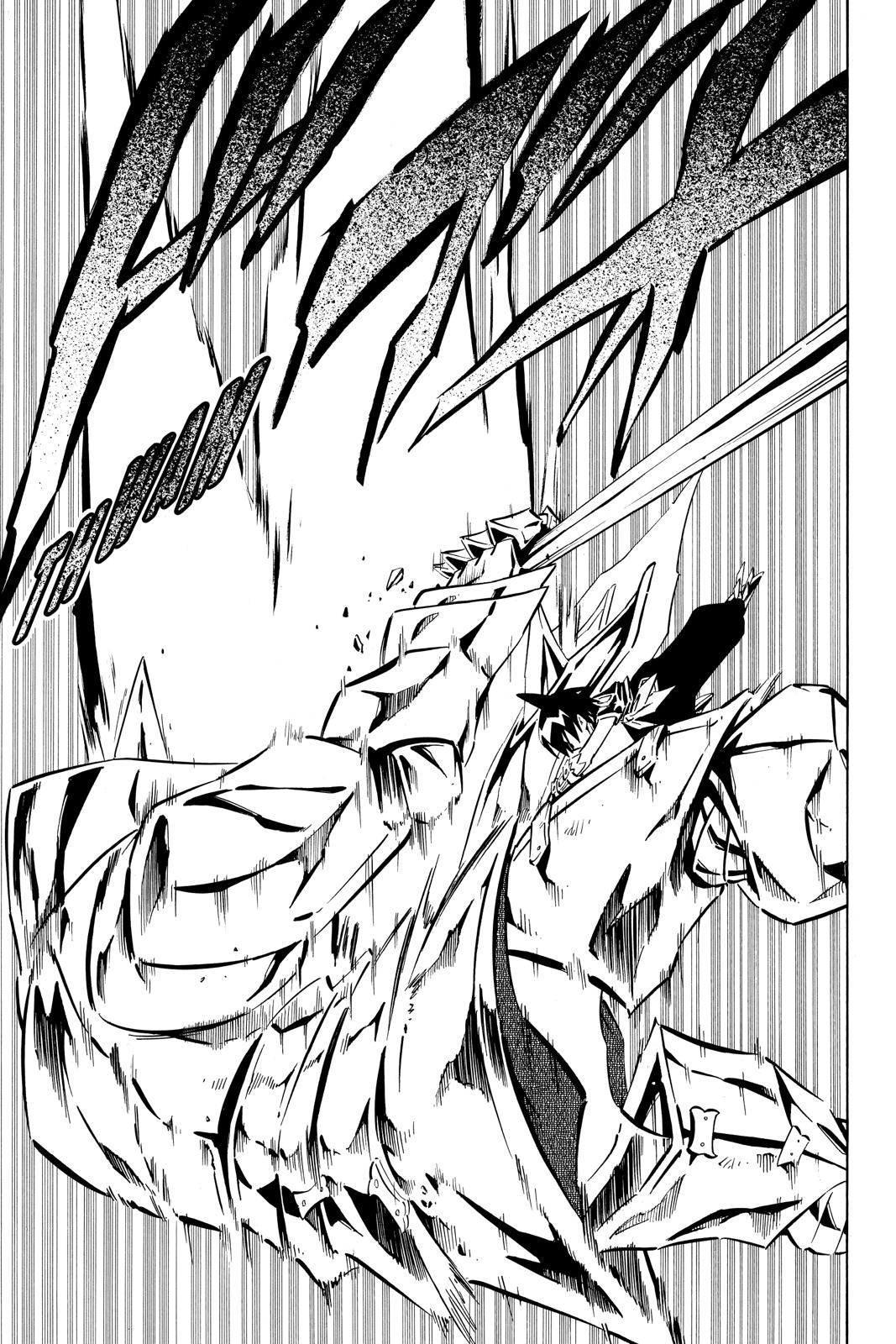 Shaman King chapter 247 page 4