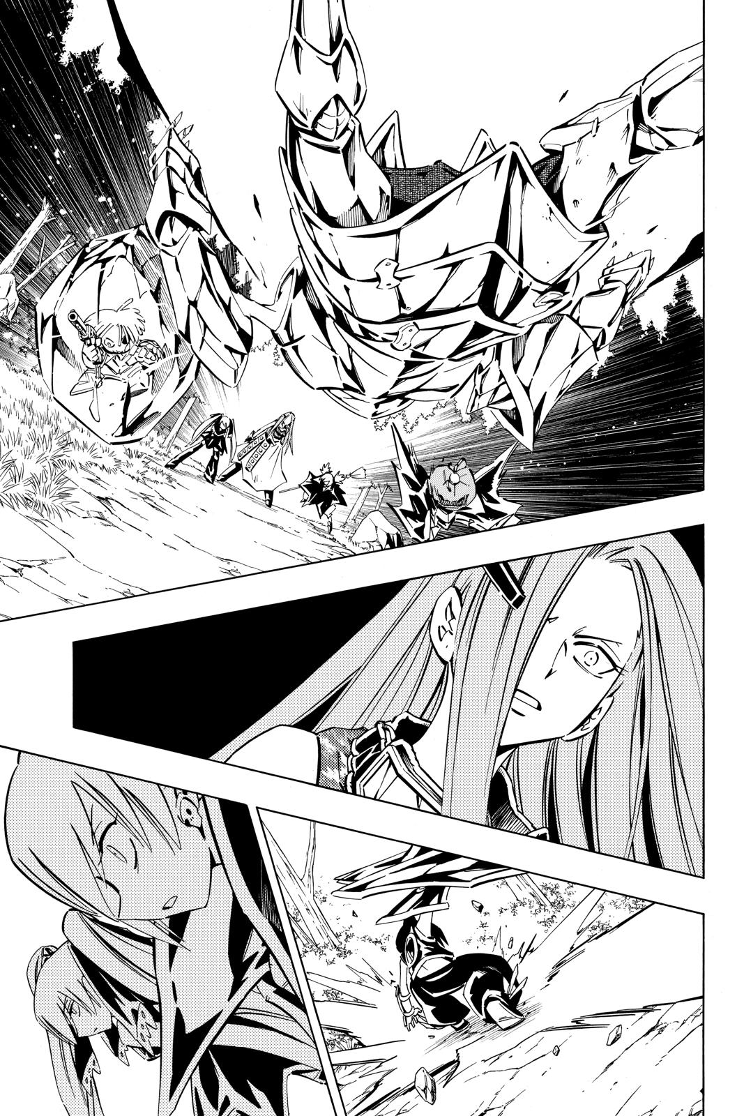 Shaman King chapter 247 page 6