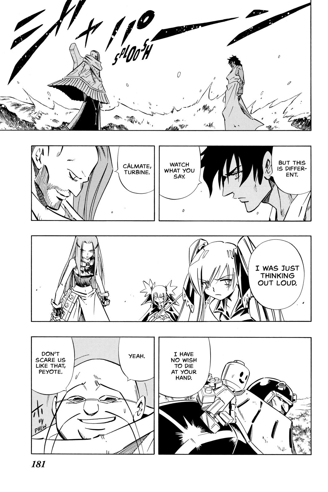 Shaman King chapter 248 page 14