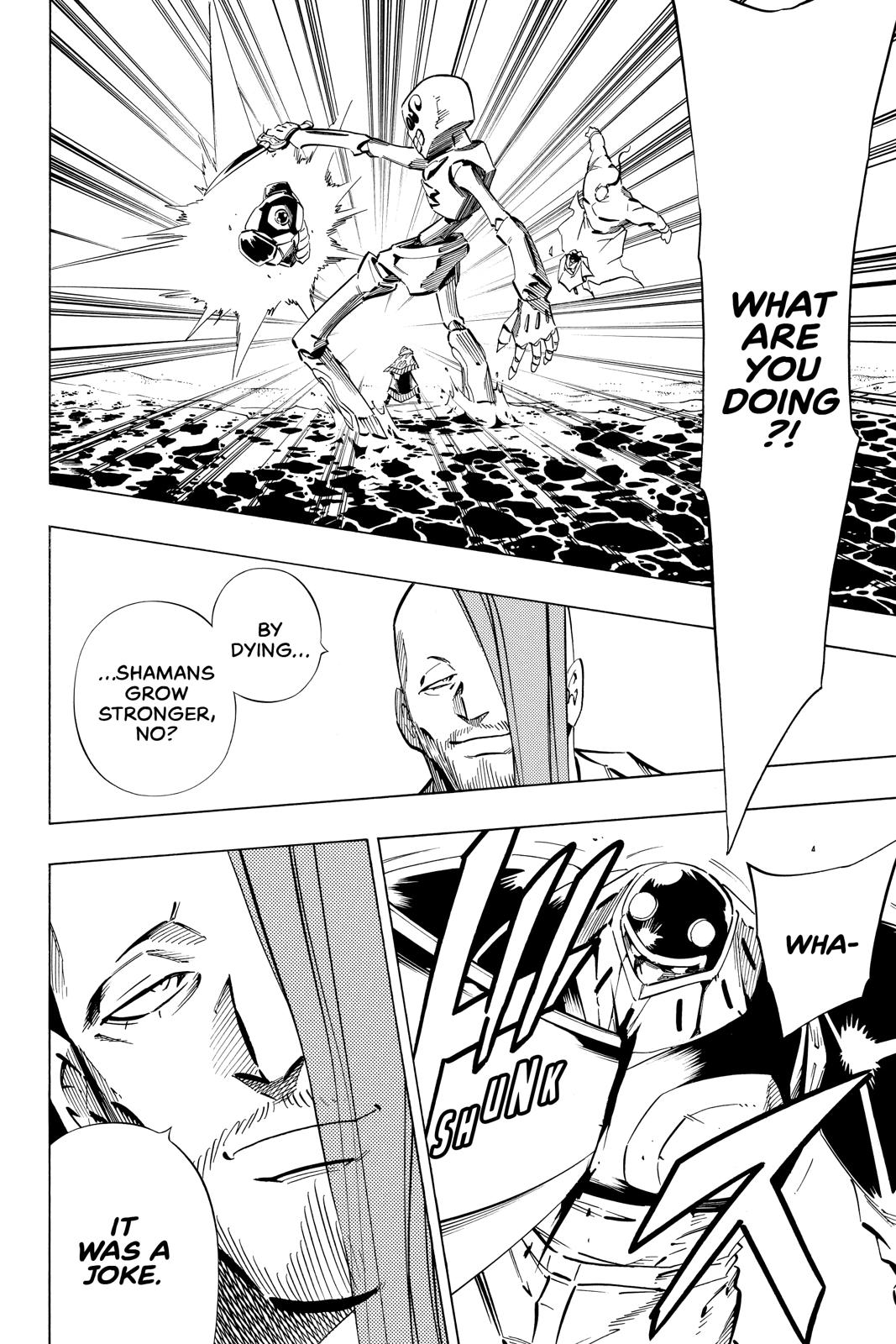 Shaman King chapter 248 page 17