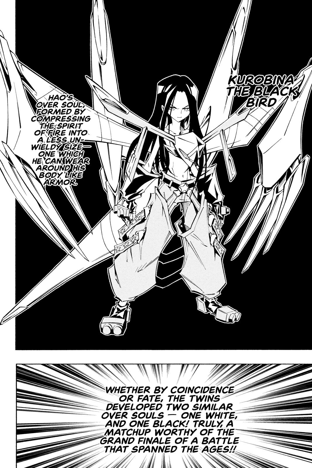 Shaman King chapter 248 page 22