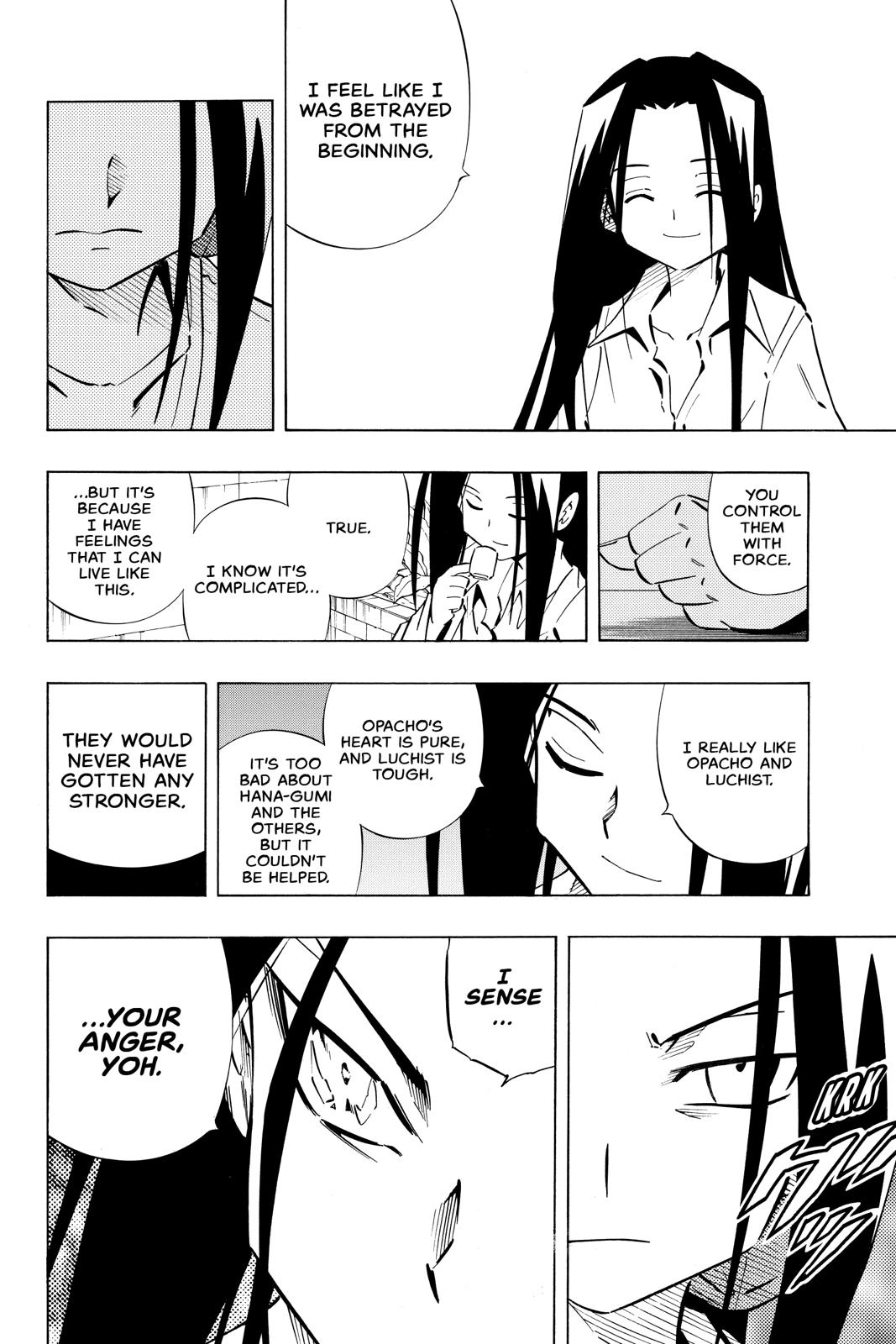 Shaman King chapter 251 page 14