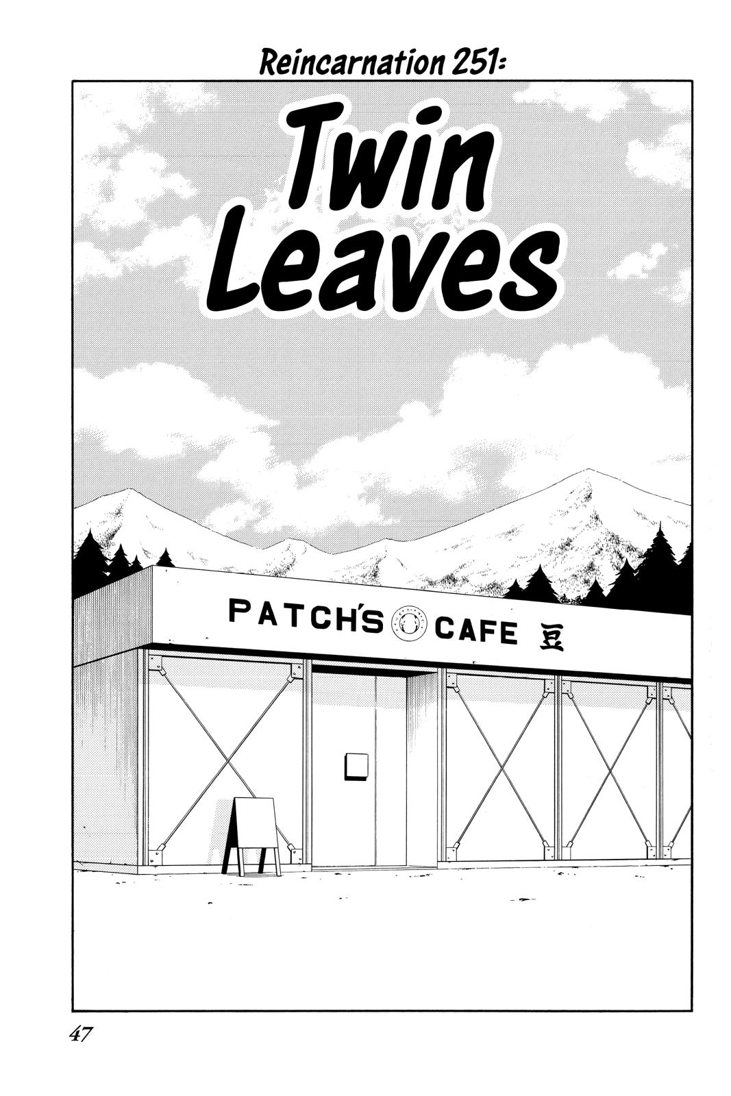 Shaman King chapter 251 page 3