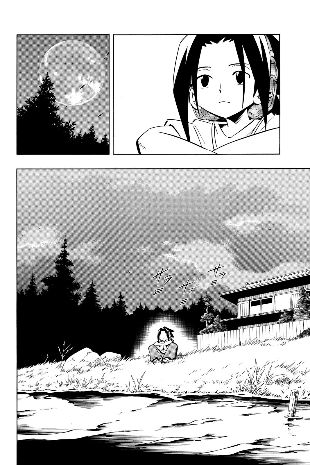 Shaman King chapter 252 page 12