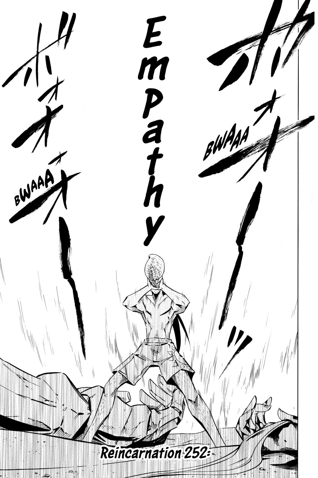 Shaman King chapter 252 page 3