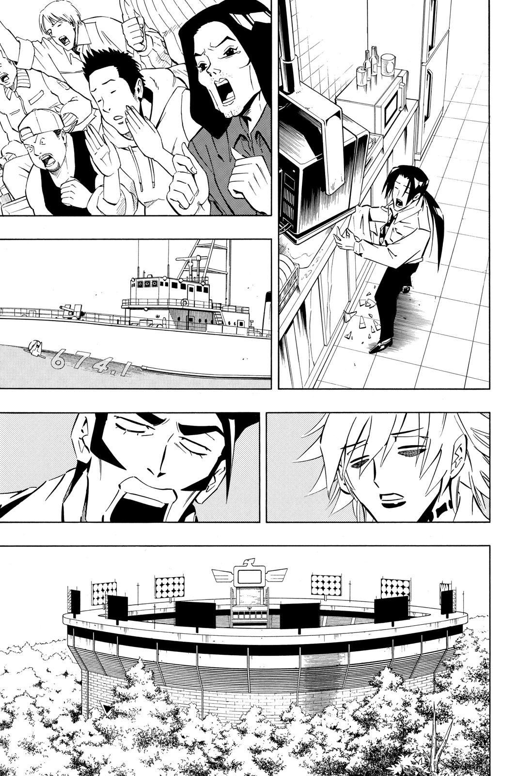 Shaman King chapter 253 page 14